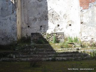 mpanarazzu-03-03-2014 13-31-16
